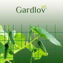 Gardlov Siatka - podpora do roślin 2x10m Gardlov 23978